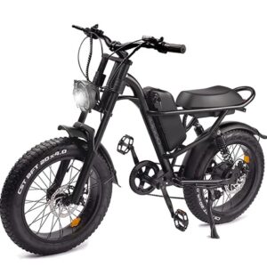 Yuirshion Vélo électrique, 20" x 4" Pouces Gros Pneu Vélo électrique pour Adultes, Batterie Massive Amovible 48V 15Ah E-Bike, VTT électrique 15.5 MPH, Professionnel Shimano 7 Vitesses